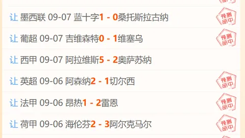 纽卡尝试以恩梅查为筹码交易沃尔特马德，多特坚决否决