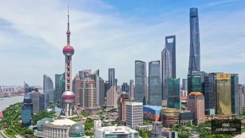 腾讯电竞财报，凤凰彩票，亮眼，电竞教育前景广阔